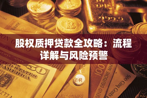 武汉股权质押贷款全攻略：流程详解与风险预警