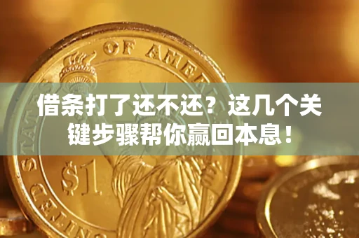 武汉借条打了还不还？这几个关键步骤帮你赢回本息！