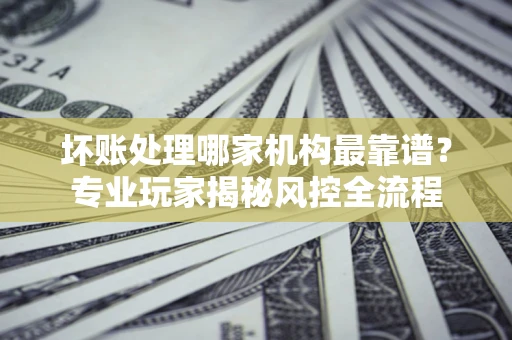 武汉坏账处理哪家机构最靠谱？专业玩家揭秘风控全流程