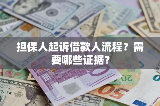 武汉担保人起诉借款人流程？需要哪些证据？