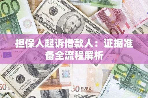 武汉担保人起诉借款人：证据准备全流程解析