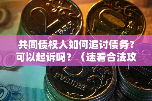 武汉共同债权人如何追讨债务？可以起诉吗？（速看合法攻略）