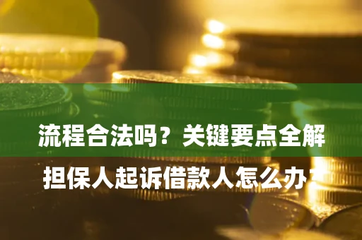 武汉

担保人起诉借款人怎么办？流程合法吗？关键要点全解析