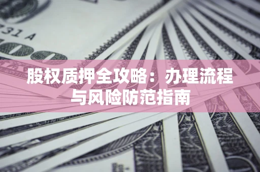 武汉股权质押全攻略：办理流程与风险防范指南