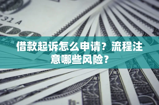 武汉借款起诉怎么申请？流程注意哪些风险？